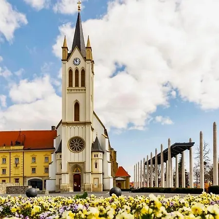 Vakantiehuis Petertuende Vendeghaz
