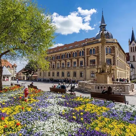 Petertuende Vendeghaz Vakantiehuis